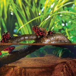 Exo Terra Jungle Vine for Reptiles & Amphibians -Outlet Hagen Store 101569 PT2. SY630 V1466016652