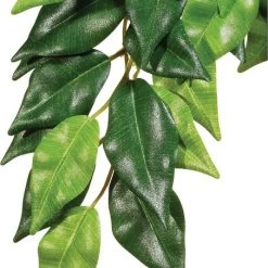 Exo Terra Ficus Silk Plant