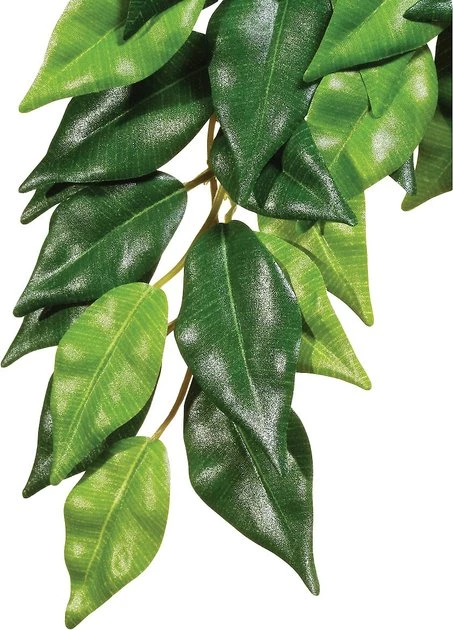 Exo Terra Ficus Silk Plant 1 Exo Terra Ficus Silk Plant