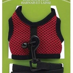 Living World Small Animal Harness & Lead, Color Varies
