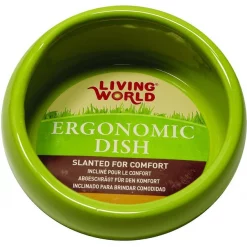 Living World Green Ergonomic Small Pet Dish