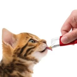 Catit Creamy Chicken & Liver Flavor Lickable Cat Treats -Outlet Hagen Store 160668 PT4. SY630 V1550767044