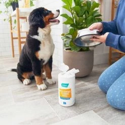 Catit||Frisco Catit Flower Plastic Fountain, 100-oz + Frisco Pet Toy & Bowl Cleaning Wipes -Outlet Hagen Store 303288 PT7. SY630 V1623047247