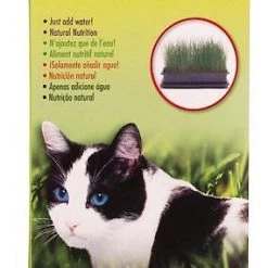 Catit Cat Grass