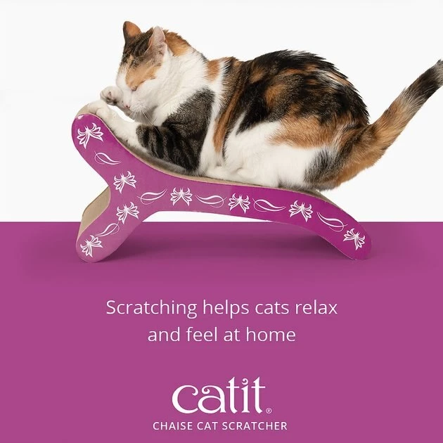 Catit Chaise-Shape Scratcher with Catnip 5 Catit Chaise-Shape Scratcher with Catnip - Image 5