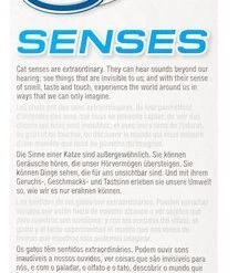 Catit Design Senses Circuit Cat Toy -Outlet Hagen Store 64947 PT4. SY630 V1535665021