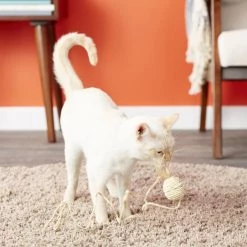 Catit Cornhusk & Raffia Ball with String Cat Toy -Outlet Hagen Store 64961 PT5. SY630 V1527256169