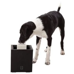 Dogit Design Alfresco Outdoor Drinking Plastic Fountain -Outlet Hagen Store 65640 PT3. SY630 V1626361309