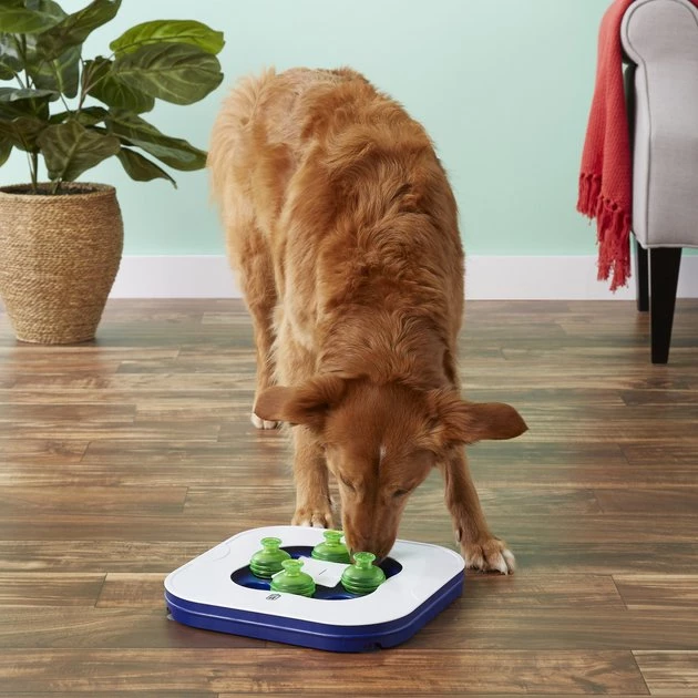 Dogit Mind Games Interactive Smart Dog Game 5 Dogit Mind Games Interactive Smart Dog Game - Image 5