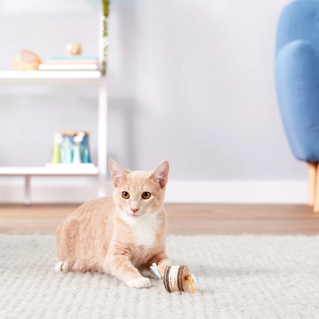 Catit EcoCat Sisal Cylinder Cat Toy 2 Catit EcoCat Sisal Cylinder Cat Toy - Image 2