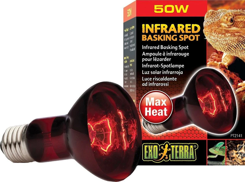 Exo Terra Infrared Basking Reptile Spot Lamp 1 Exo Terra Infrared Basking Reptile Spot Lamp
