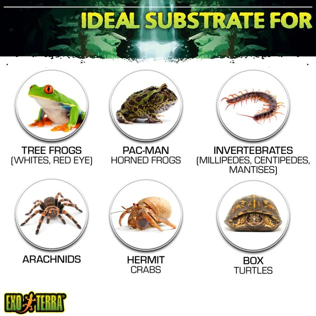 Exo Terra Plantation Soil Brick Tropical Terrarium Reptile Substrate 5 Exo Terra Plantation Soil Brick Tropical Terrarium Reptile Substrate - Image 5